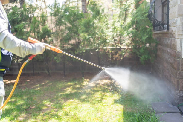 Professional Pest control in Lino Lakes, MN